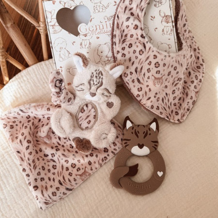 Coffret Naissance Chaton Lynx