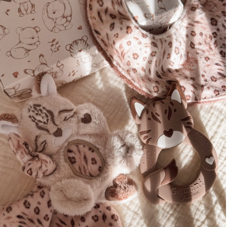 Coffret Naissance Chaton Lynx