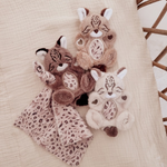 Load image into Gallery viewer, Coffret Naissance Chaton Lynx