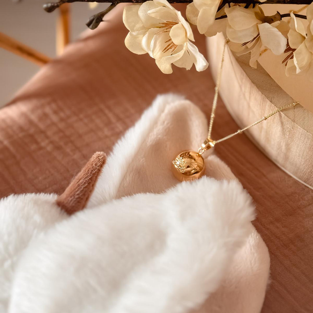 Coffret « Bébé miracle » - Bola & Doudou Colibri